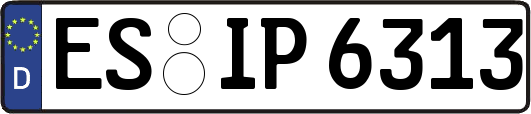 ES-IP6313