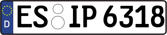 ES-IP6318
