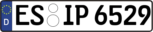 ES-IP6529