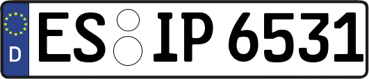 ES-IP6531