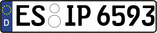 ES-IP6593