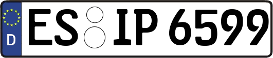 ES-IP6599