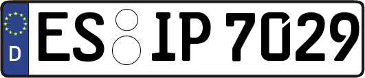 ES-IP7029