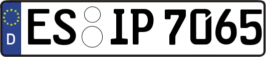 ES-IP7065