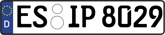 ES-IP8029