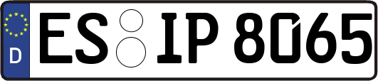 ES-IP8065