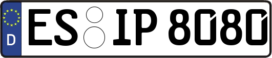 ES-IP8080