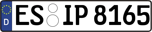 ES-IP8165