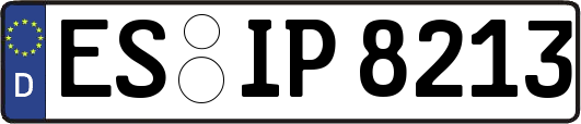 ES-IP8213
