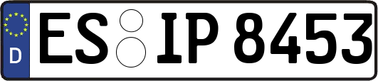 ES-IP8453