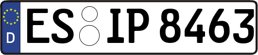 ES-IP8463