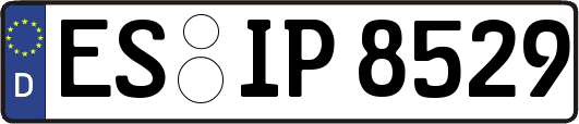 ES-IP8529