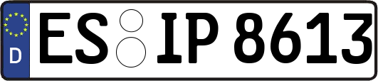 ES-IP8613