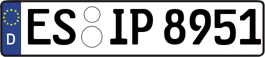 ES-IP8951