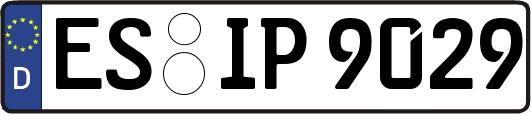 ES-IP9029
