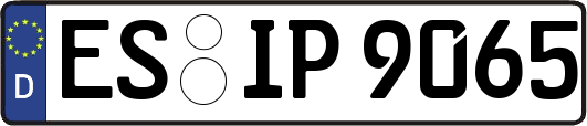ES-IP9065