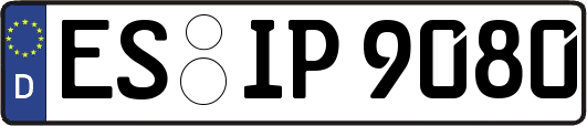 ES-IP9080