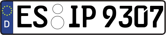ES-IP9307