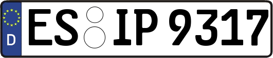 ES-IP9317