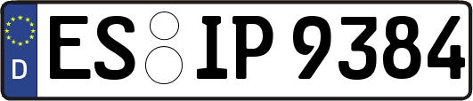 ES-IP9384