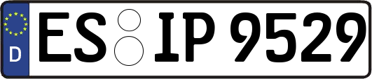 ES-IP9529