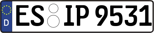 ES-IP9531