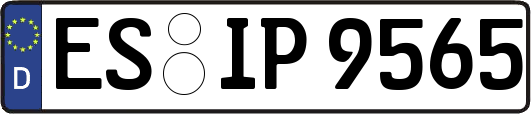 ES-IP9565