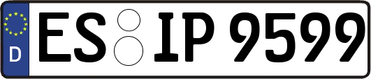 ES-IP9599
