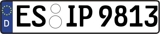 ES-IP9813