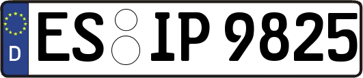 ES-IP9825