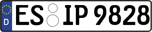ES-IP9828
