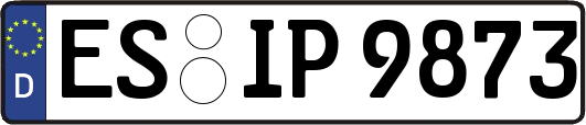 ES-IP9873