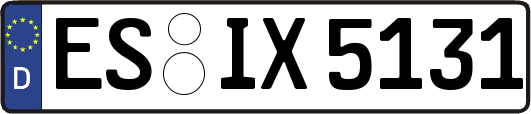 ES-IX5131