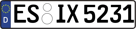 ES-IX5231