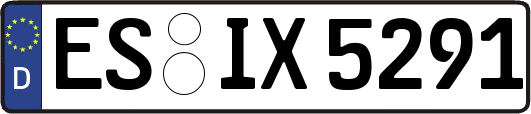 ES-IX5291