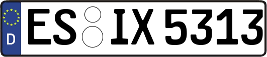 ES-IX5313