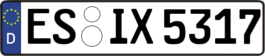 ES-IX5317