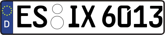 ES-IX6013