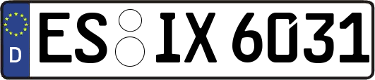 ES-IX6031