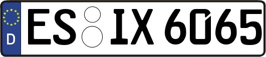 ES-IX6065
