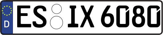 ES-IX6080
