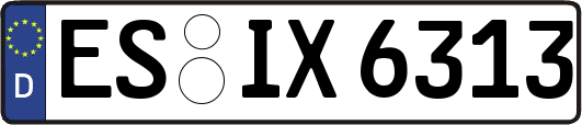 ES-IX6313