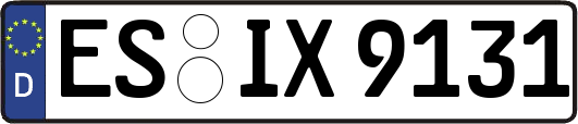 ES-IX9131