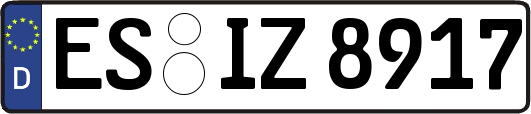 ES-IZ8917