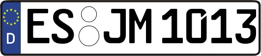 ES-JM1013