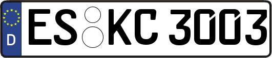 ES-KC3003