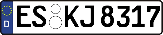 ES-KJ8317