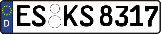 ES-KS8317