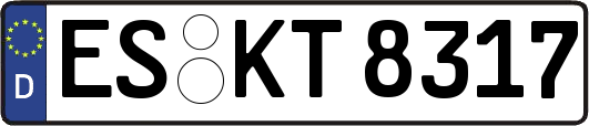 ES-KT8317