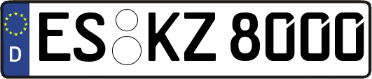 ES-KZ8000